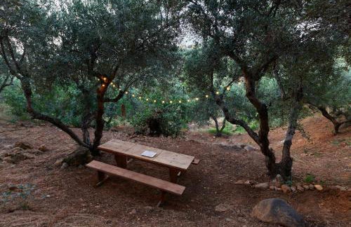 Renia's house - Foto 28