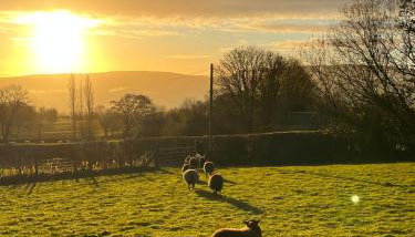 Wye View Lodge, Hay View Lodges - Foto 5