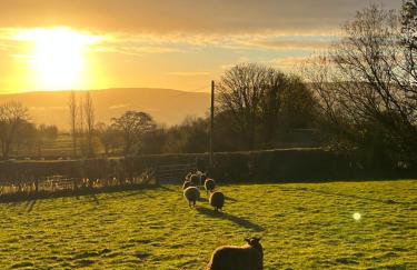 Wye View Lodge, Hay View Lodges - Foto 5