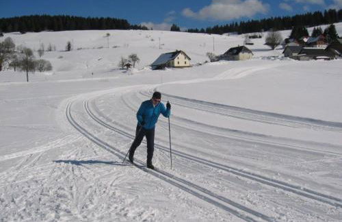Apartment Appartement in Wittenschwand by Interhome - Foto 27