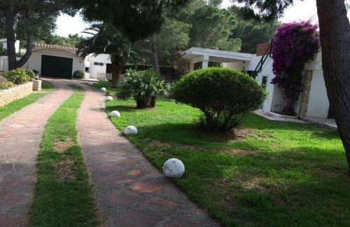 La Mandioca - Foto 16