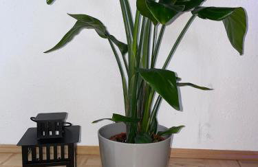 Apartment in Marburg - Foto 14