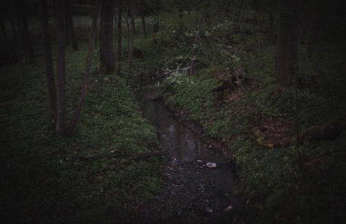 Domki pod Krakowem - Stare Sady - Photo 115