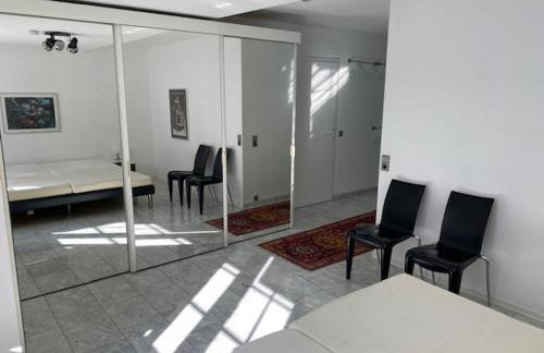 Excl Ferienwohnung im Dreiländereck D-F-CH mit beheiztem kl Pool zum Schwimmen und Massieren - Foto 27