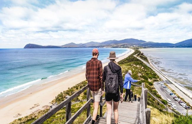 Bruny Island Safari - Food, Sightseeing and lighthouse Tour - Photo 1