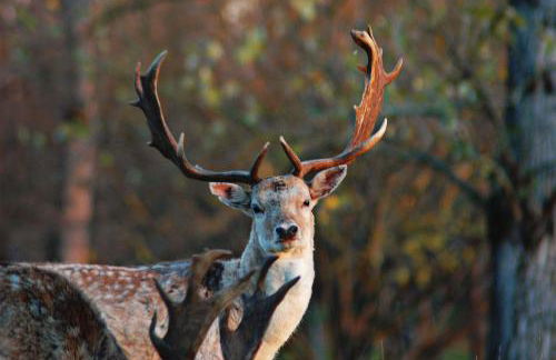 Agriturismo I Leprotti - Photo 49