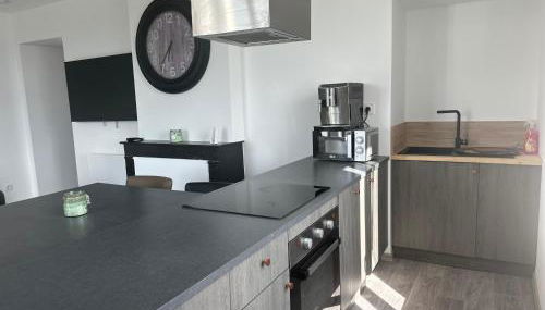 Appartement confortable Andrezieux Boutheon - Foto 3, stove