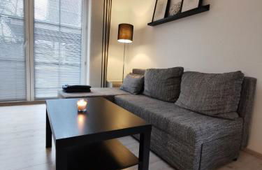 Renovierte Ferienwohnung in Nienburg Erichshagen - Foto 10