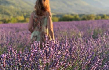 Lou Souleu - Foto 31