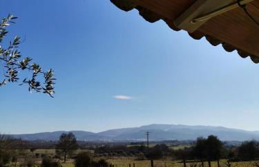 Casa Cabeço do Barragão - Photo 4