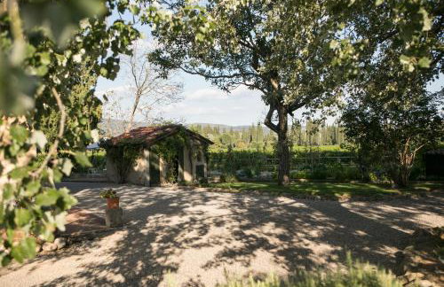 Domus Cariana - Foto 59