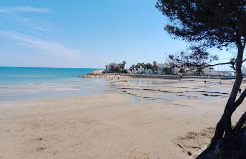 Alcossebre APARTAMENTO ALANDALUS PLANTA BAJA - Foto 61