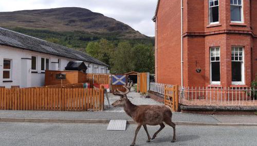 Etive Pod, West Highland Way Holidays - Foto 5