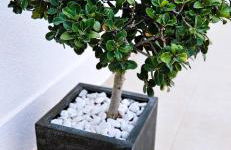 Casa Galia - Foto 15