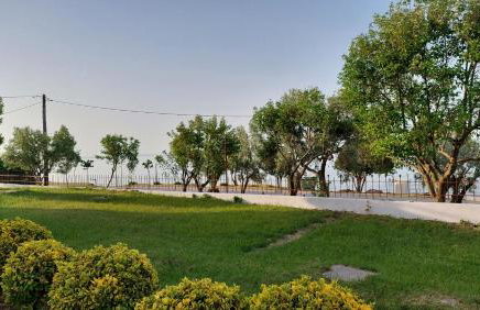 Apartament Dilyana 2 - Foto 15