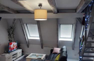 duplex aux portes de Strasbourg tram 100m - Foto 1