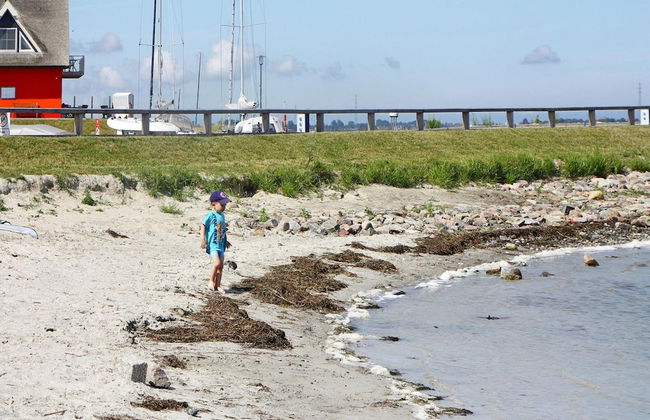 Holiday Home in Vieregge With sea Beach - Foto 14