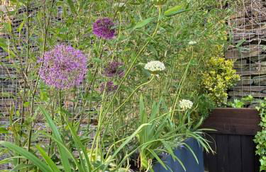 Snowdonia Snug - Studio Style Accommodation - Foto 44