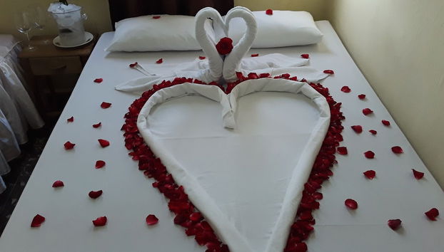 Aparthotel in Banes - Photo 3