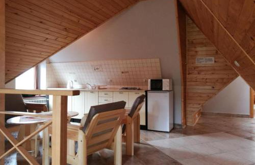 Willa Przekop - apartamenty - Foto 38