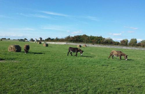 Beau T3 *** pour 2 à 4 pers avec patio privatif - Foto 29