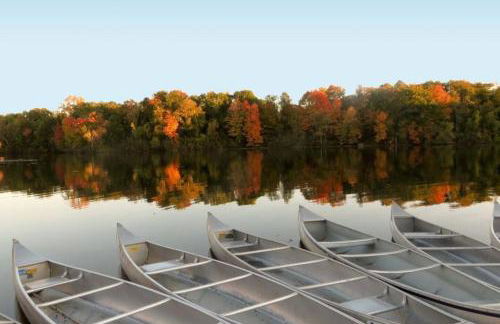 Room 20 mins to U of M - Foto 21