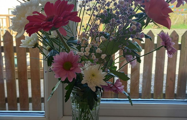 Country Cottage Apartment, Valentia Island, Kerry - Foto 11