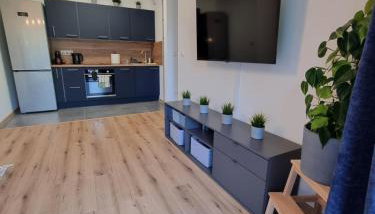 Aurum Apartment - Photo 3