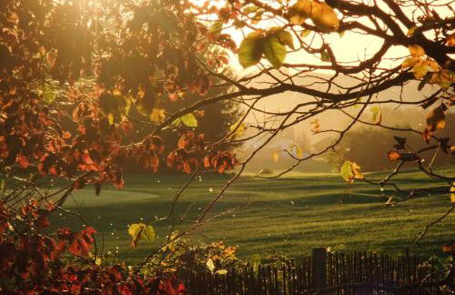 Zehentmayrhof - Photo 65