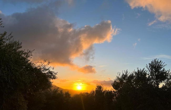 Tranquil Mountain Hideaway - Photo 35