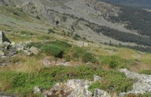 La Casita del Guarda - Photo 32