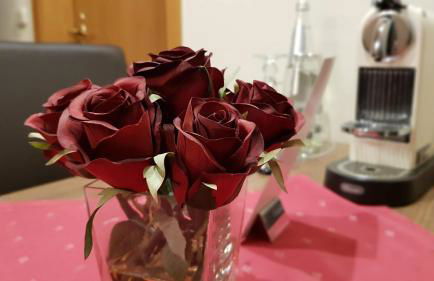 Ferienwohnung Rhöner Land - Foto 17