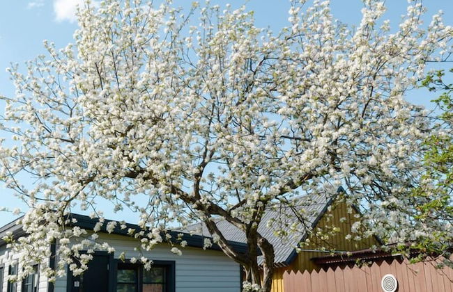 Karjamaa Camping - Foto 16