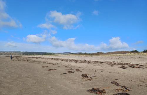 The Conifers 3 Room Small but Stylish Self Catering Bedsit Flat in Nature Reserve Free Eden taxi b4 9pm no lounge - Photo 26