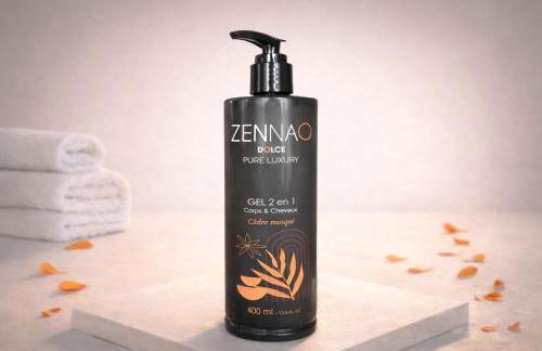 Charmant appartement avec 4 chambres à Orléans Sud - Foto 16