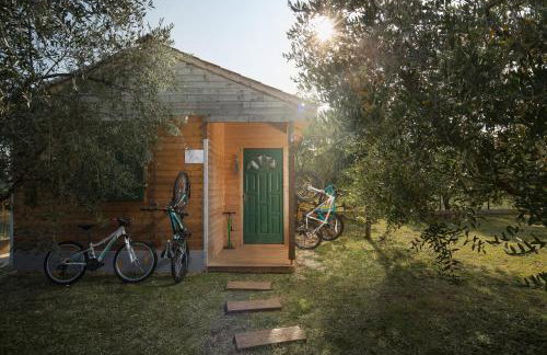 Villa Stanzietta Novigrad for 10 at Olive orchard - Foto 37