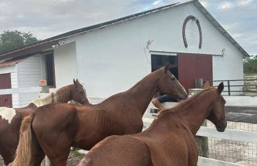 Rancho el kairos - Photo 34