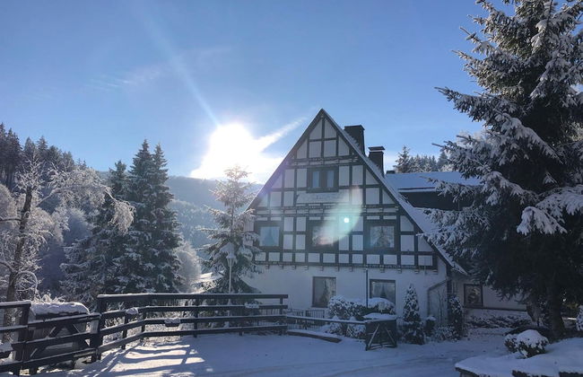 Exclusive Group House in Winterberg in the Forest - Photo 52