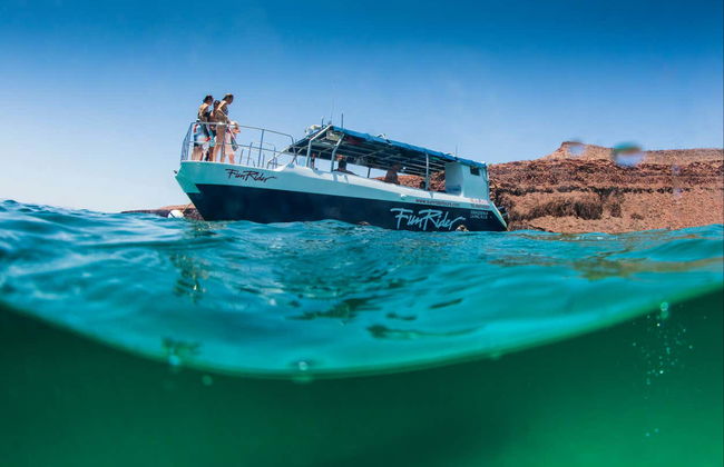 Balandra Beach Day Trip & Swimming with Sea Lions - Photo 1