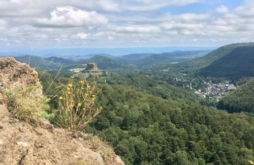 Les terrasses du château de Murol - Studio 4p au pied du château de Murol - Foto 18
