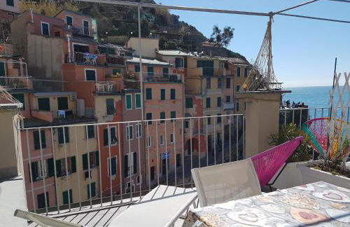 Pepita di Rio - Foto 35