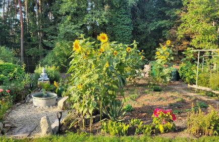 Urlaubstraum am Brombachsee- 5 stilvolle Zimmer- - Foto 40