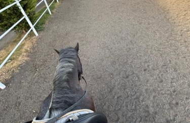 The Barn - Batley West Yorkshire - horse stays - Foto 30