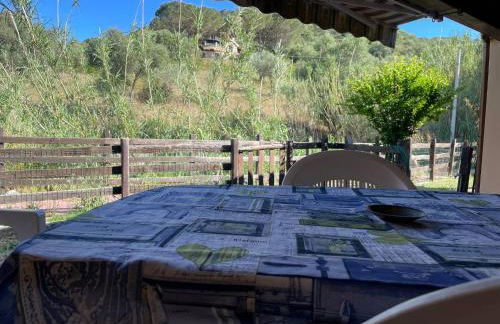 FAN SARD Villetta 10 posti letto FBU-ZAN01 - Foto 31