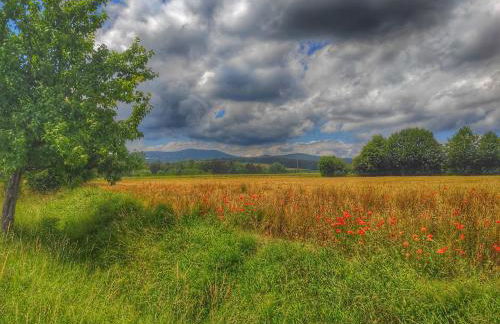 Emyda' s Tropical Home at Goldsteig trail - Foto 28
