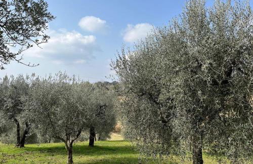 Casa Oliva Casperia, house & private olive grove - Foto 12
