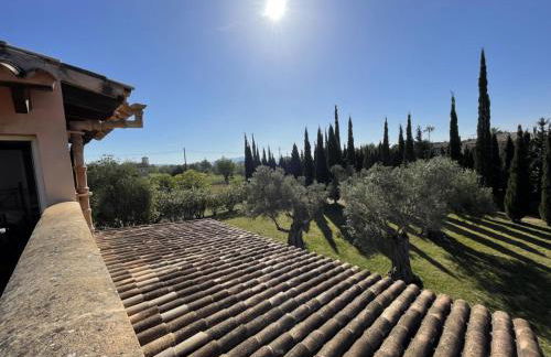 Finca Caseta Des Pradi Biel - Foto 36