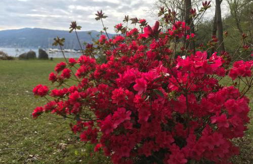 The Gulf Villa - Lago Maggiore - Foto 51