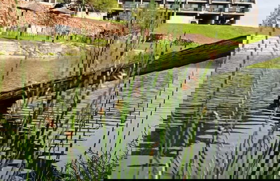 Apart Club San Pedro - Foto 38