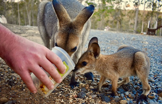 Ketchup's Bank Glamping - Photo 9